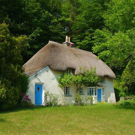 Lew Quarry Cottage Lewdown Экстерьер фото