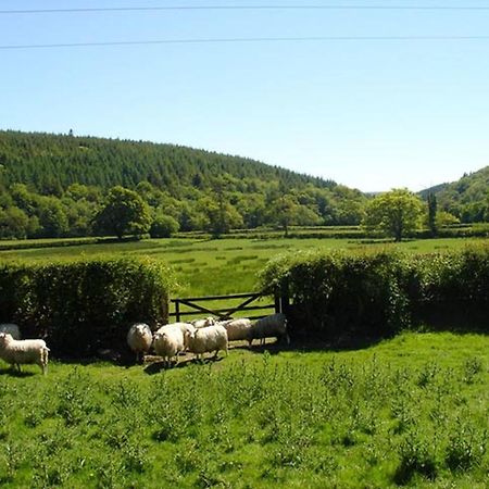 Lew Quarry Cottage Lewdown Экстерьер фото